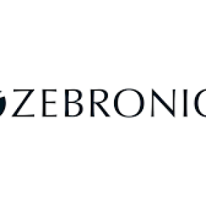 Home zebronics copy
